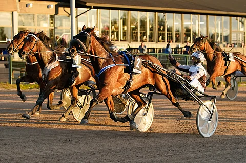 Don Pescador teki Seinäjoella yhden elämänsä parhaista juoksuista.