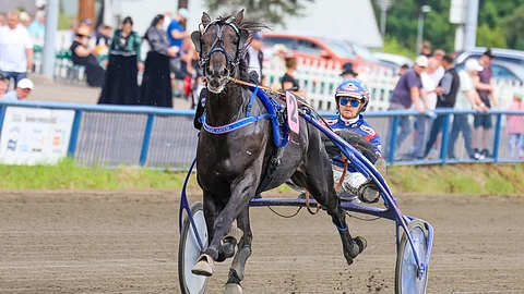 Olli Koivunen sai nauttia Crepe Matchin valtavasta kiristä, joka vei valjakon ulkoratoja derbyvoittoon.