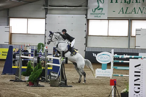 Jumperissa riittää hevosta.