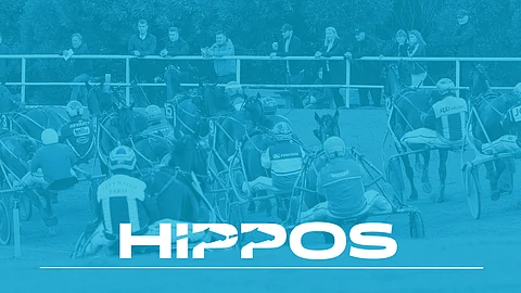 Suomen Hippoksen hallituksella ylimääräinen kokous – otti kantaa Hevosopisto-kohuun