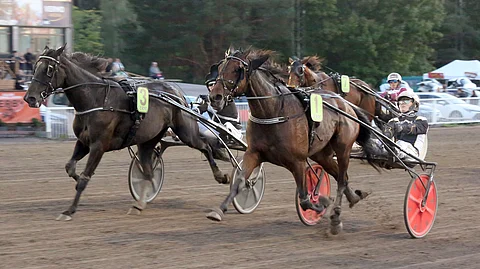 Harri Koivusen valmentama 	Backgammon Garden (1) siivitti Tuukka Variksen Junioritähti-kilpailusarjan voittoon.