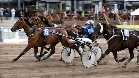 Truthisoutthere (kuvassa nro 6) jäi viime startisssaan vain niukasti Derbydinaalin ulkopuolelle olemalla karsinnassa kolmas.