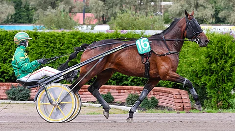 Nemea Icemanilla on tälle kaudelle jo 4 voittoa.