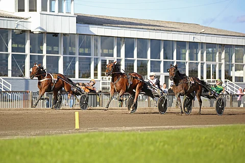 Orlando (5) kiri Jukka Torvisen ajamana Tammavaltikan toisessa osalähdössä kolmanneksi.
