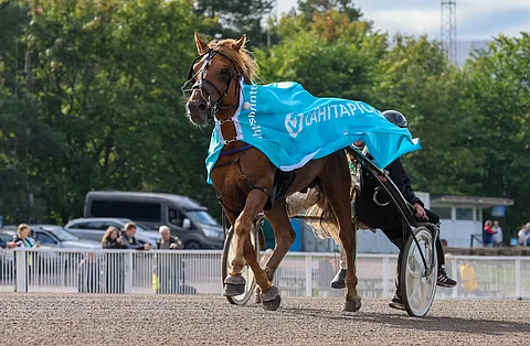 Caijus on Tähtisprintteri vuosimallia 2023. Voitto oli Mika Mäkelän valmennettavalle kauden kolmas.