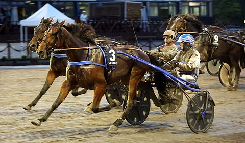 Arctic Emerald Vermon voittokuvassa.