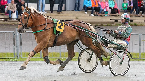 6-vuotias ori Karlas hakee jo kauden viidettä voittoa.