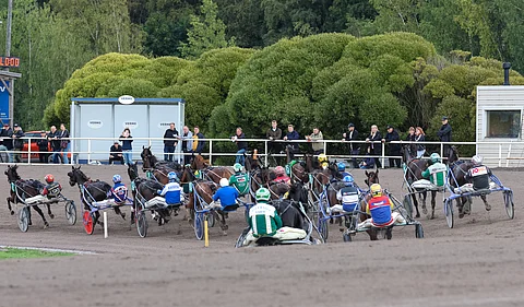 Muualla kuin Vermossa ajetaan ensi vuonna kymmenet T65-ravit.