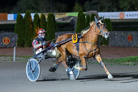 Hissun Feeniks joutui pitkälle sairauslomalle uuden vastoinkäymisen myötä.