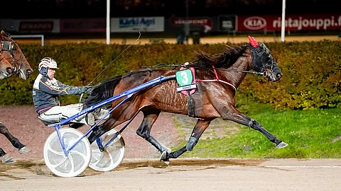 Seppo Markkula vastasi Fancynancyclancyn ohjastamisesta.