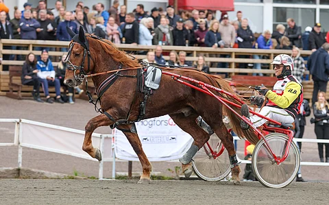 Vale-Ellin odotettiin voittavan Kriterium, mutta toisin kävi. Hevonen ylsi kuitenkin toiseksi hienolla tuloksella 26,5ake.