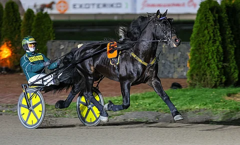 Grislefaksen G.L. voitti Turun PM-kisan Hannu Torvisen ajamana.