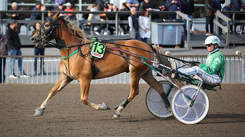 Tauolta palaileva Vapassi on oiva ideavarma Teivon iltaan.