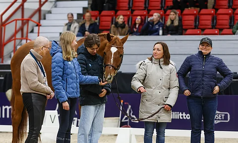 Celtas Quillian Horse Show'ssa viime lokakuussa.  Vasemmalla kasvattaja Anja Lönnholts, Sani ja Jone Illi, Celtas Quillian, Sonja Kaakko ja Sanna Illi.