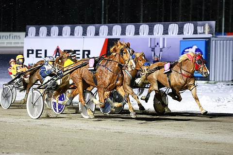 Jani Ruotsalaisen ohjastama Annan (5) äityi rajuun suoritukseen Mikkelin tammalähdössä.