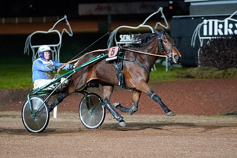 Callela Xplosion hakee Kasvattajakruunusta kolmivuotiskaudelleen suurta onnistumista.