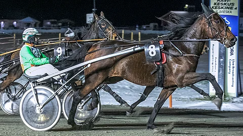 Potter Kähön kiri kantoi Ylivieskassa ykköseksi.