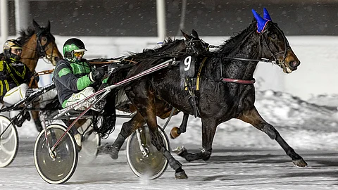 Satin Spirit kierteli takarivistäkin ykköseksi.