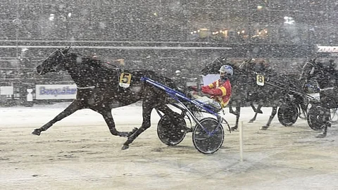 Great Skills oli vakuuttava voittaja Bergsåkerin lumipyryssä.