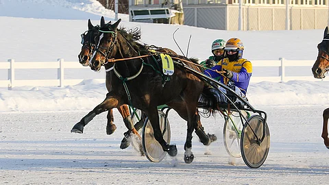 Kari Venäläinen on ajanut Maccella kaikki sen uran voitot.