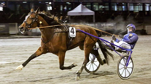 Papa Rock kilpailee Rommessa.