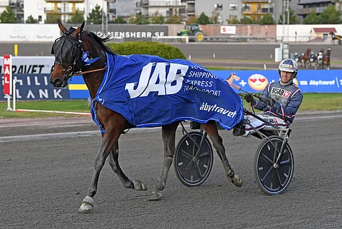 Heartbeat Julie ja Ville Karhulahti haastavat Southwind Bokon Solvallassa.