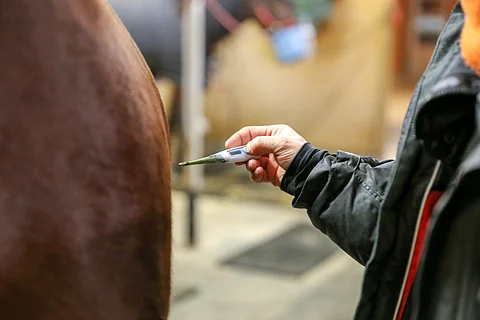 Lämmön mittaaminen päivittäin on hyvä rutiini viruksia vastaan taistellessa.