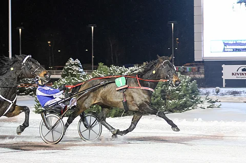 Marjo-Kristiina Niemisen ja Fire-tallin omistama Grainfield Aiden juoksi uransa 37:nnen voittonsa.