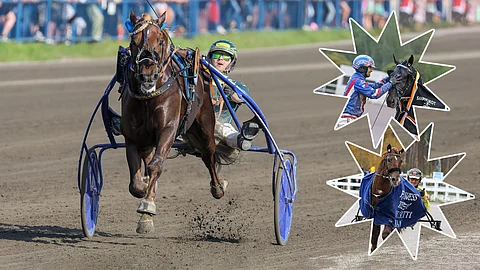 Mikä oli sinusta vuoden 2024 kovin raviteko?