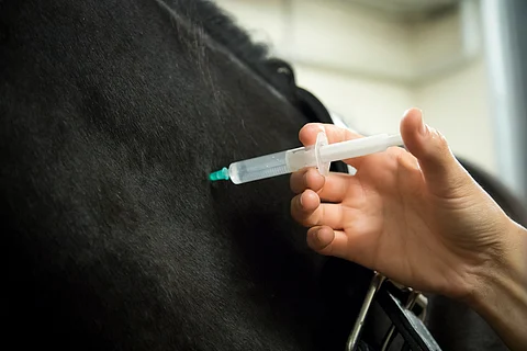 Lukijan kynä: Onko hyötyä mustamaalata eläinlääkäreiden ammattikuntaa?