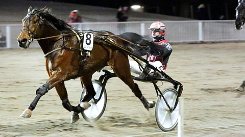 Staro Quincy Toto65-voittajana. Itsenäisyyspäivänä rattailla nähdään Santtu Raitalan sijaan Olli Koivunen.