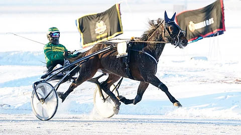 Moon Riding High ja Jukka Torvinen ovat ideavihjeen tukipilareita.
