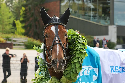 Derbyvoittaja Wertti kiihdyttää valmentajansa Jani Ruotsalaisen ohjastamana takamatkan kolmosradalta.
