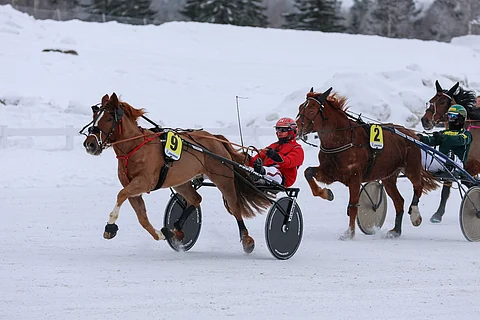 Säpikäs oli yltänyt seitsemän kertaa peräkkäin totosijoille ennen maanantain raveja.