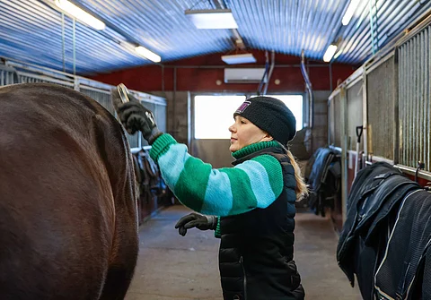 Lykke Li Hoss ja Felix Orlando ovat molemmat mielenkiintoisia hevosia.