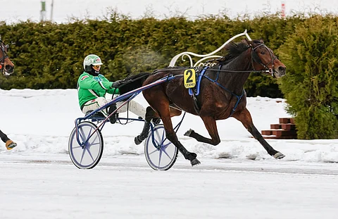 Tauon jälkeen Ari Moilanen on ohjastanut kaikki Jack Of All Tradesin voittostartit.