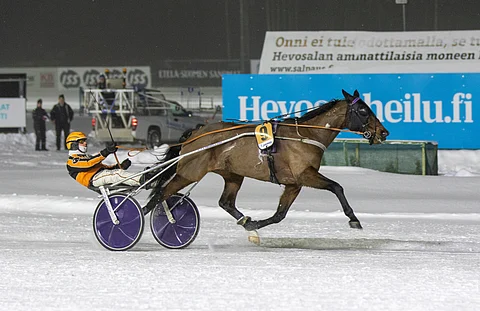 Jason's Camden on juossut tällä kaudella kaksi voittoa.
