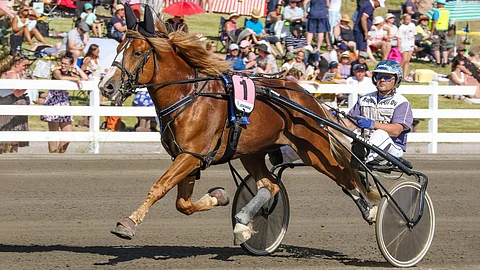 Jani Ruotsalainen on vastannut useasti aiemmin Sipiseen ohjastuksesta.