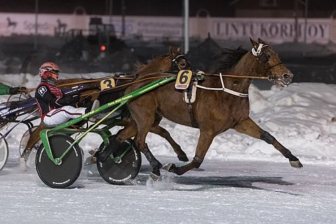 Santtu Raitala ajoi Forssan perjantairaveissa kaksi voittoa, jotka molemmat tulivat Tapio Mäki-Tulokkaan valmennettavilla. Kuvassa tyylinäyte Rahajamatchin kanssa.