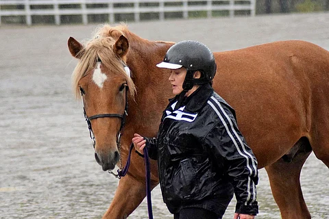 Pirita Lukkarin tallissa on 21 hevosta.