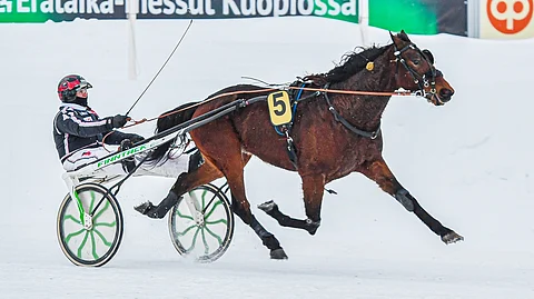 Wiliam Way on voittanut jokaisella kilpailukaudellaan, eikä tämäkään vuosi tee poikkeusta.