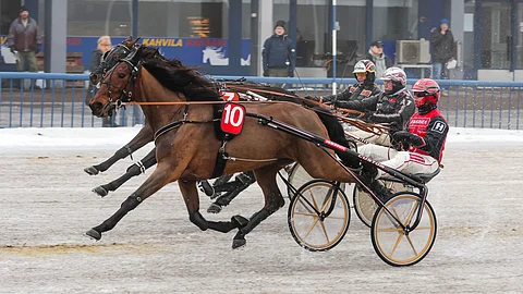 Bluehill's Ghost on toisen kohteen suosikkeja.