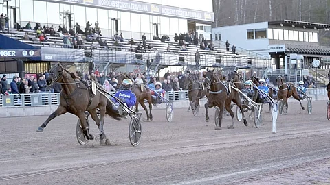 Phoenix Photo voittaa vakuuttavasti C Th Ericssons Mamorialin.