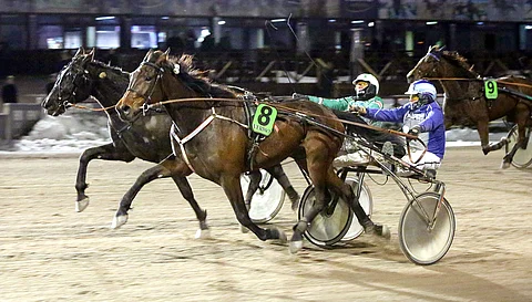 Veijo Heiskari on maksanut Wik's Noe Nee Peen kaikkiin suurimpiin ikäluokkakisoihin mukaan, koska tamma osoitti lahjakkuutensa jo nuorena. Niihin tähdätään myös tosissaan.