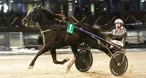 Khopesh voitti Antti Teivaisen ohjastamana Uudenmaan Upein -karsinnan.