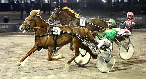Myrskyluodon Janne vastaili Lentopetrolille varmoin ottein.