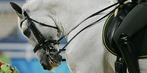 Ei rullausta olympialaisissa, toteaa ranskalainen aktiiviryhmittymä ja myös suomalaiseläinlääkäri Kati Tuomola.