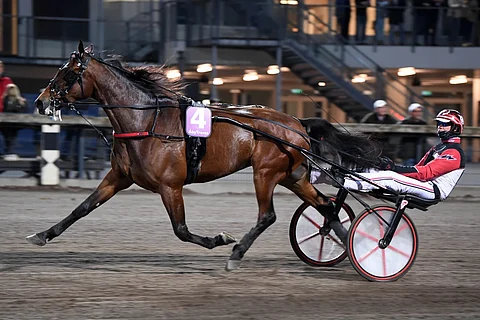 Lozano di Quattro ja Tobias J Gustafsson ovat voittaneet kaikki vuoden kolme starttiaan.