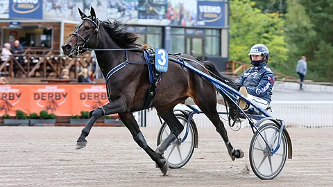Prickly Rose voitti viimeksi helppoon tyyliin komealla kirillä.