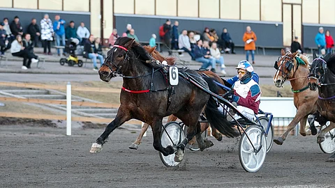 Birger piti muut kurissa Lappeen illassa.